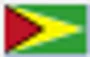 Guyana Flag